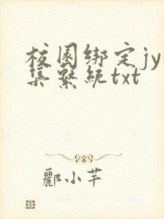 校园绑定jy收集系统txt封面