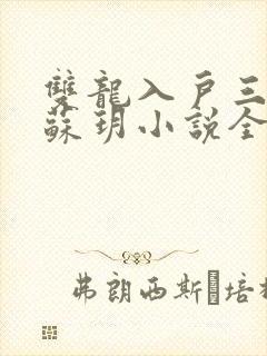 双龙入户三人行苏玥小说全文阅读