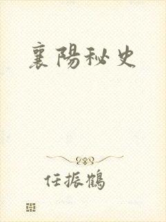 襄阳秘史