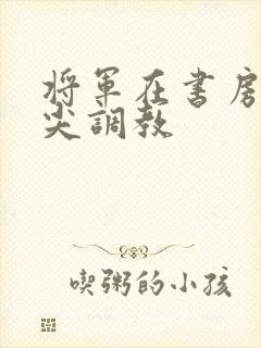 将军在书房含乳尖调教