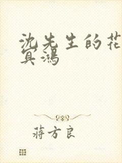 沈先生的花式调冥鸿