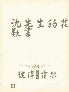 沈先生的花式调数书