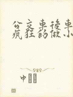 公交车后车座的疯狂的做小