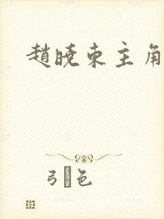 赵晓东主角小说封面