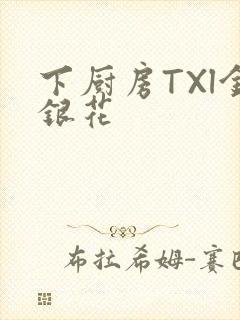 下厨房TXl金银花