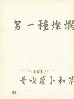 另一种灿烂生活封面