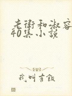 老卫和淑容1-40集小说