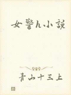 女警h小说封面
