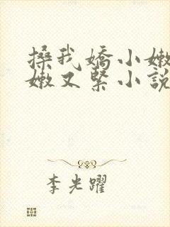 搡我娇小嫩苞又嫩又紧小说封面