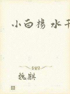 小白杨 水千丞