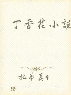 丁香花小说