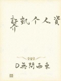 许凯个人资料简介封面