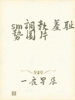 sm调教羞耻姿势图片封面