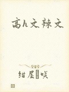 高h文辣文