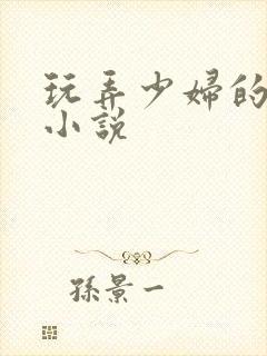 玩弄少妇的悲哀小说