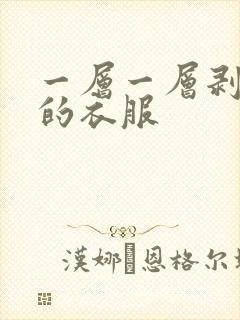 一层一层剥开你的衣服