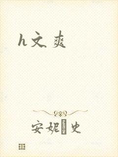 h文爽