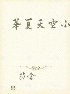 华夏天空小说网封面