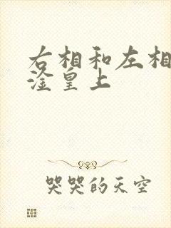 右相和左相一起淦皇上
