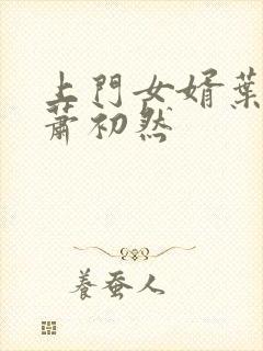 上门女婿叶辰 萧初然封面