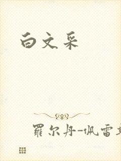 白文采