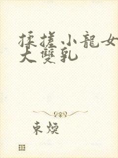 揉搓小龙女的硕大双乳