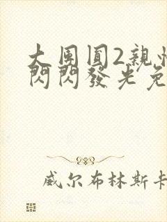 大团圆2亲情会闪闪发光免费