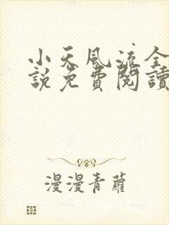小天风流全集小说免费阅读封面