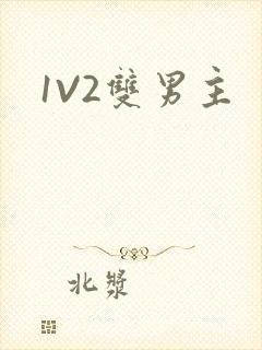 1V2双男主