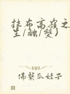 抹布高岭之花(生/触/双)封面