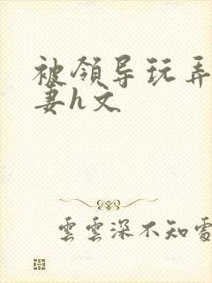 被领导玩弄的娇妻h文