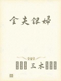 金夫银妇封面