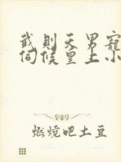 武则天男宠怎么伺候皇上小说免费阅读封面