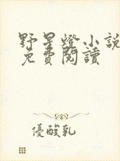 野星灯小说全文免费阅读