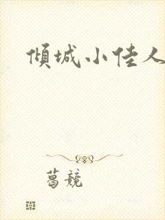 倾城小佳人封面
