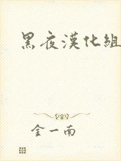 黑夜汉化组封面
