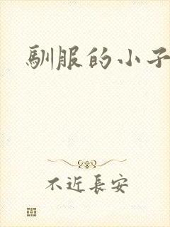 驯服的小子4封面