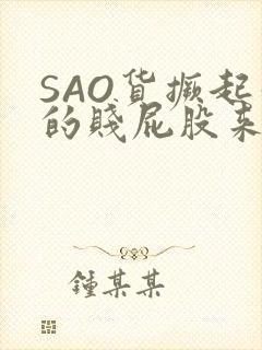 SAO货撅起你的贱屁股来封面