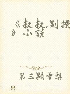 《叔叔,别撩我》小说