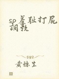 sp羞耻打屁股调教