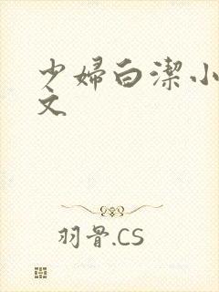 少妇白洁小说全文封面