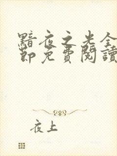 黯夜之光全部章节免费阅读封面