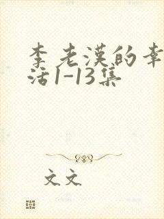 李老汉的幸福生活1-13集