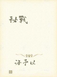 秘战封面