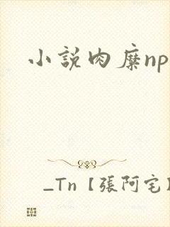 小说肉糜np