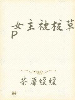 女主被校草们NP