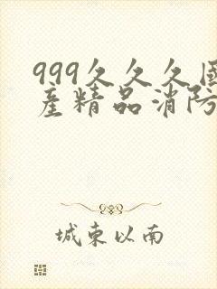 999久久久国产精品消防器材