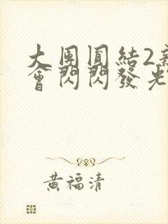 大团圆结2亲情会闪闪发光亲情会2