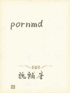 pornmd封面