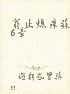 翁止熄痒苏玥第6章